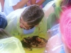 Pie Eating Contest